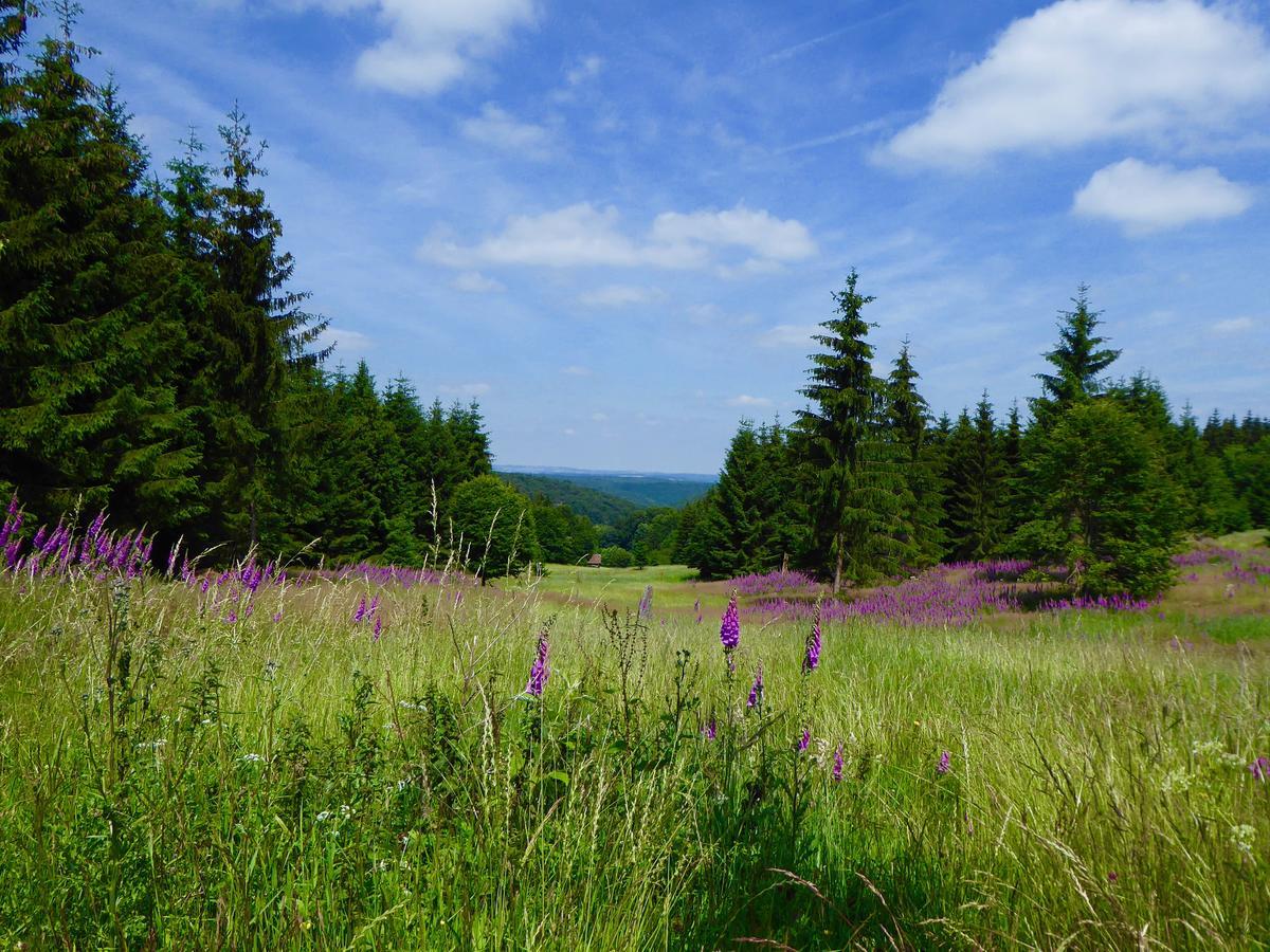 Natururlaub Frankenau Exteriér fotografie